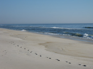 a LBI beach scene